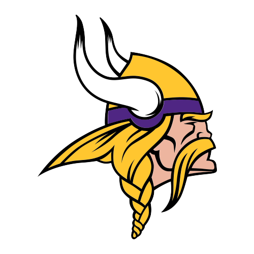Minnesota Vaykings
