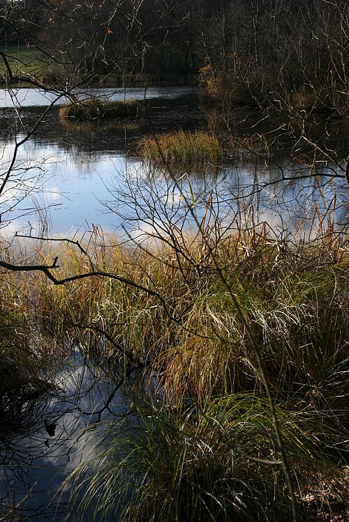 Skjern Haandbold