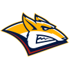 Metallurg Novokuznetsk
