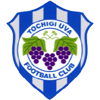 Tochigi City FC